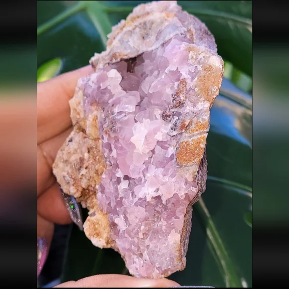 Pretty in Pink Star bloom Cobaltoan Calcite Specimen from MX